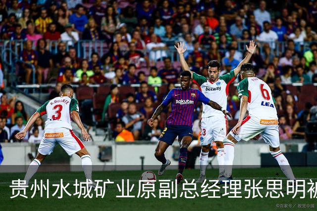 贵州水城矿业原副总经理张思明被开除党籍